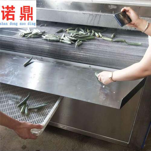 芦笋速冻机 野山笋深加工设备流水线 冷冻机器厂家一年保修