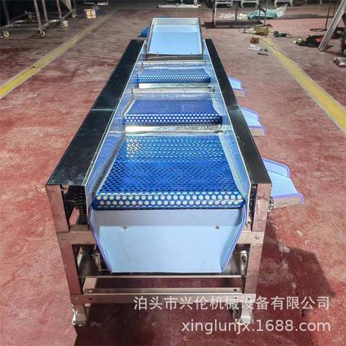 番茄分选机 香菇分级机 西红柿分选设备 孔带式果蔬选果机