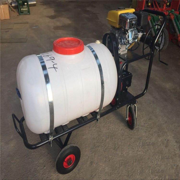 手推式消毒打药机 200升高压农用喷雾器 汽油动力喷雾打药车