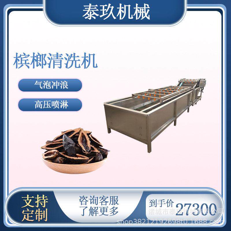 槟榔清洗设备果脯槟榔果清洗机莲藕连续式洗菜机东湖瓜清洗去杂机