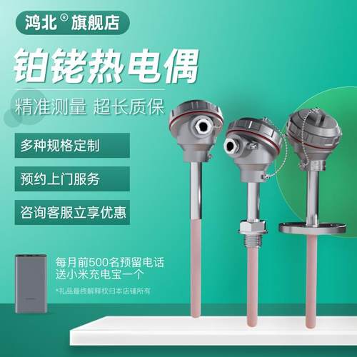鸿北S型铂铑热电偶0-1600℃耐高温刚玉管陶瓷管温度感测器B型/R型