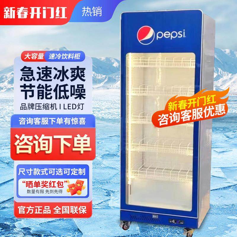 啤酒展示柜网红酒水柜饮料柜冷藏立式冷冻大单门双门酒吧商用冷柜