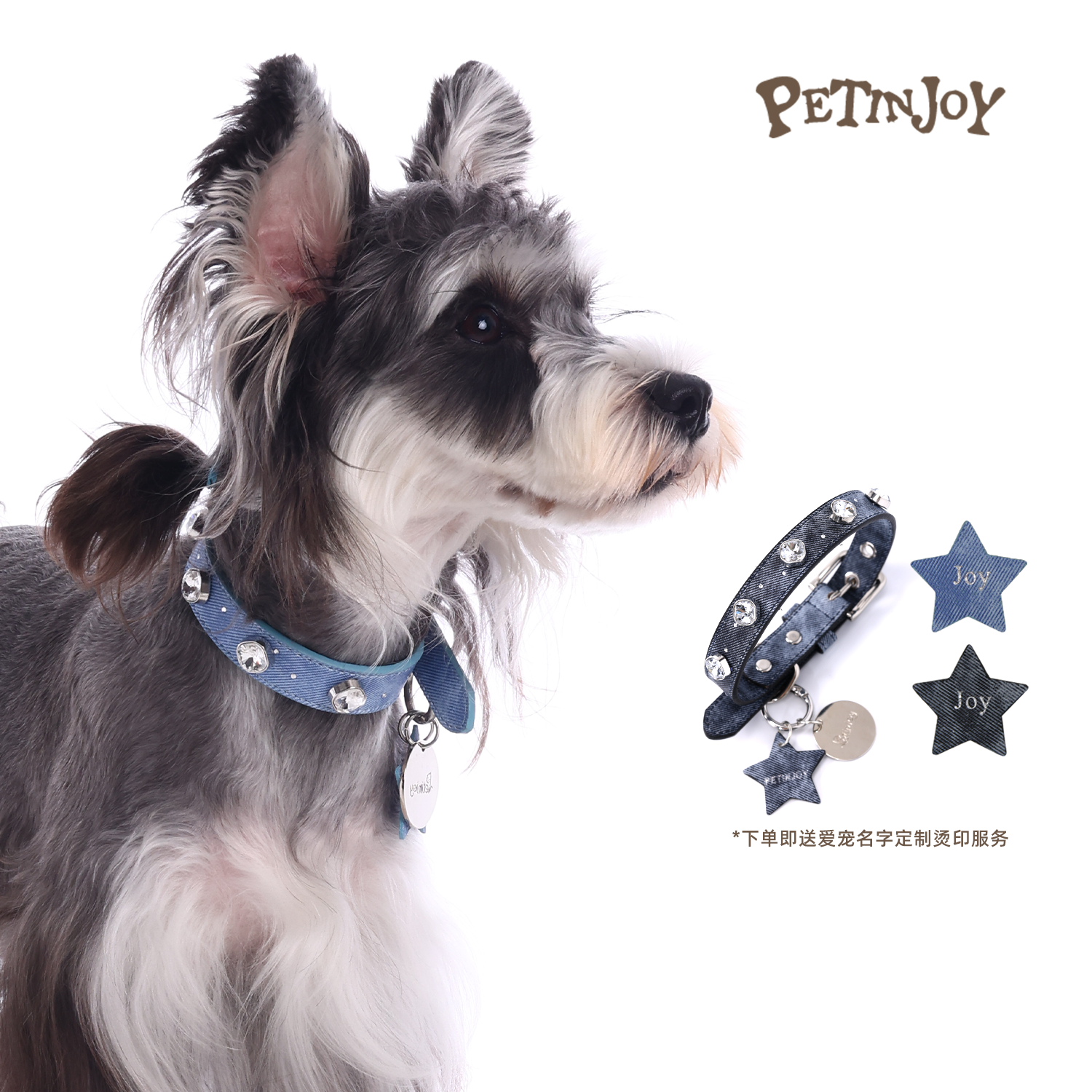 宠享趣Petinjoy 丹宁烫钻系列牛仔宝石项圈牵引绳中小型犬猫通用