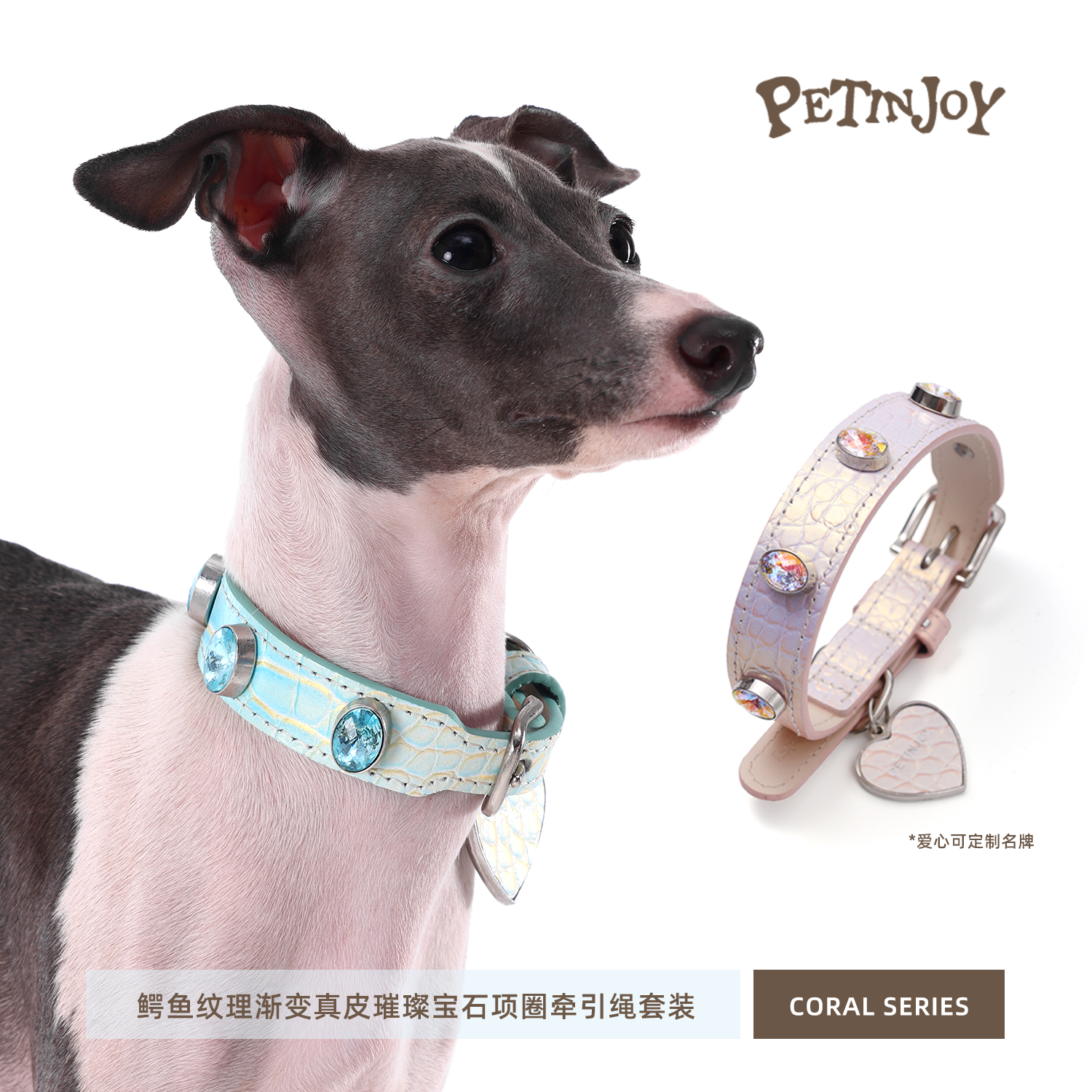 宠享趣coral真皮宝石渐变项圈
