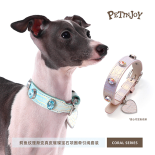 宠享趣coral系列真皮渐变鳄鱼纹宝石项圈牵引绳大中小型猫犬通用