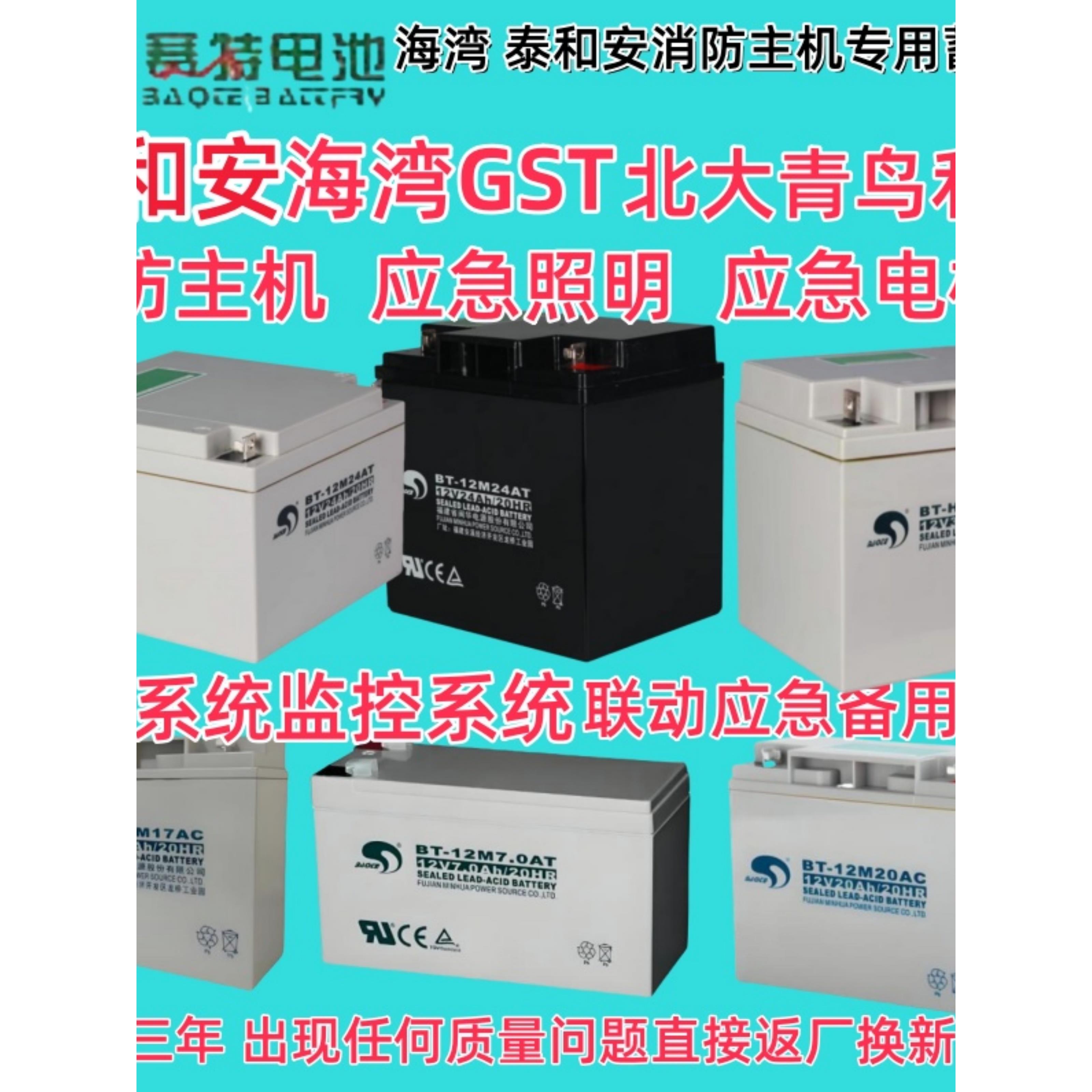 赛特海湾泰和安消防主机12V24AH/12AH/17AH/38AH报警备用蓄电池