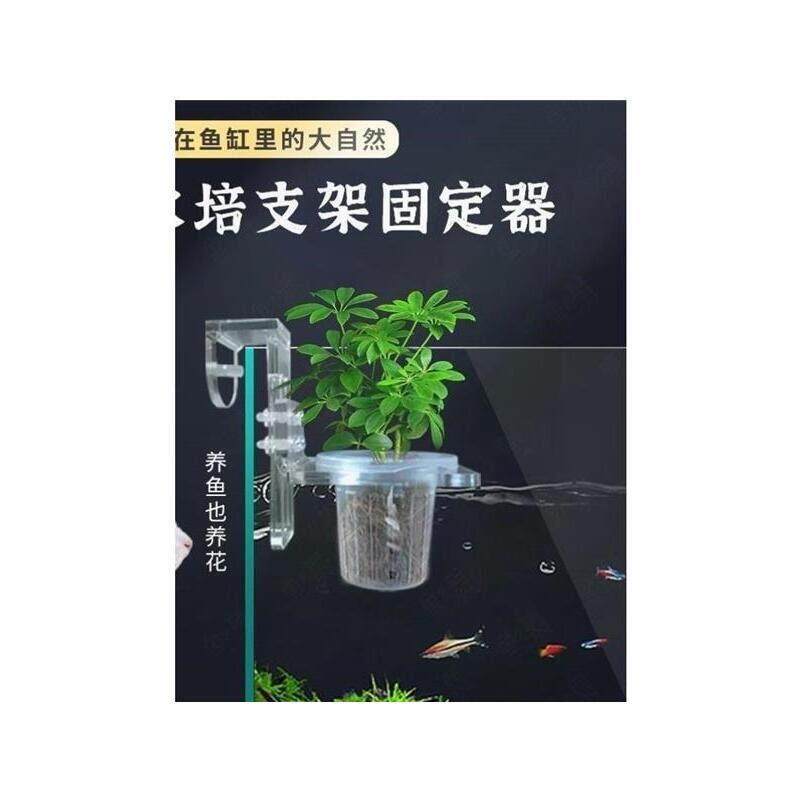 鱼缸壁挂水培植物支架定植篮水草杯造景绿植盆栽水生种绿萝红薯苗