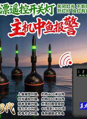 充电大肚漂遥控钓鱼警报器夜光鱼漂带开关可关灯咬钩变色智能浮漂