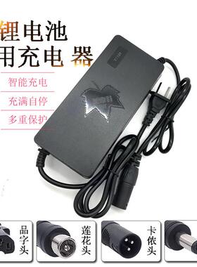 电动车锂电池充电器24V36V48V58.8V60V2A3A5A佳奉美充电器