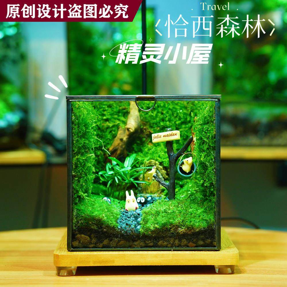 苔藓微景观雨林生态缸青苔室内绿植创意桌面盆栽迷你植物生日礼物