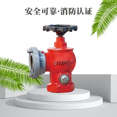 SNW65-I-Y 卷盘减压稳压栓备有大量现货供应