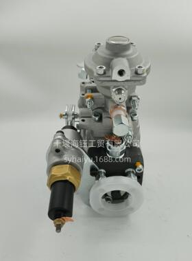 0460424496燃油喷射泵VE油泵VE4/12F1250R2087 504385873