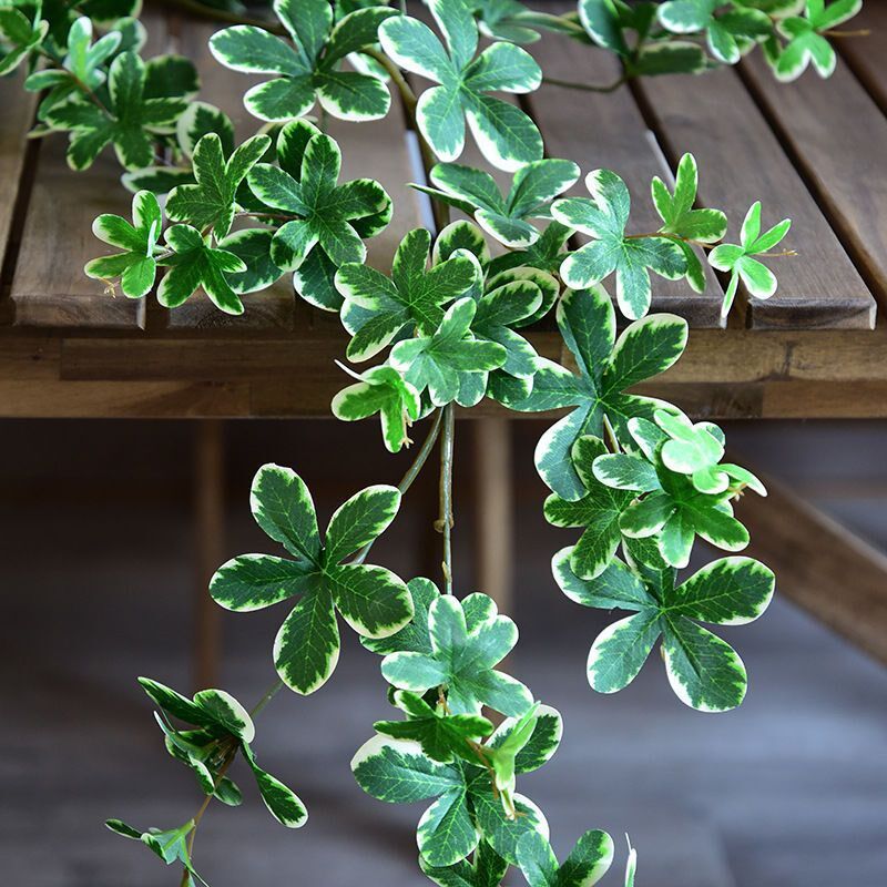 仿真绿色植物藤条子规叶装u饰墙面遮挡树叶吊顶藤蔓缠绕壁挂墙假