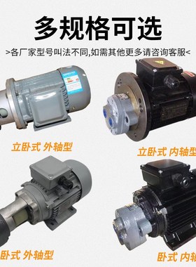 CB-B6齿轮泵4液压LWBZ油泵10B16vBM20B25B32B40B50B63B80B100 125