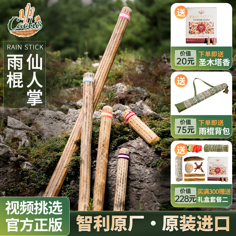 卡杜斯仙人掌雨棍雨声棒智利进口海浪拟声音解压音疗冥想小众乐器