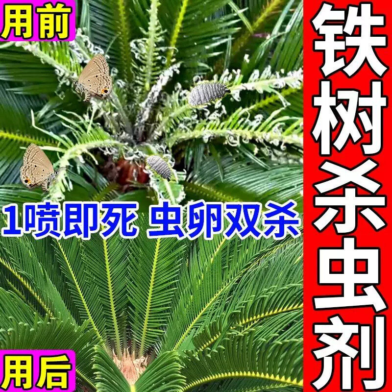 铁树杀虫剂虫卵双杀苏铁小灰蝶蚧壳虫蚜虫腻虫吃叶子平安树打虫药