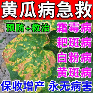 黄瓜病毒病专用药霜霉病特效白粉靶斑叶斑病黄斑炭疽虫害病肥料