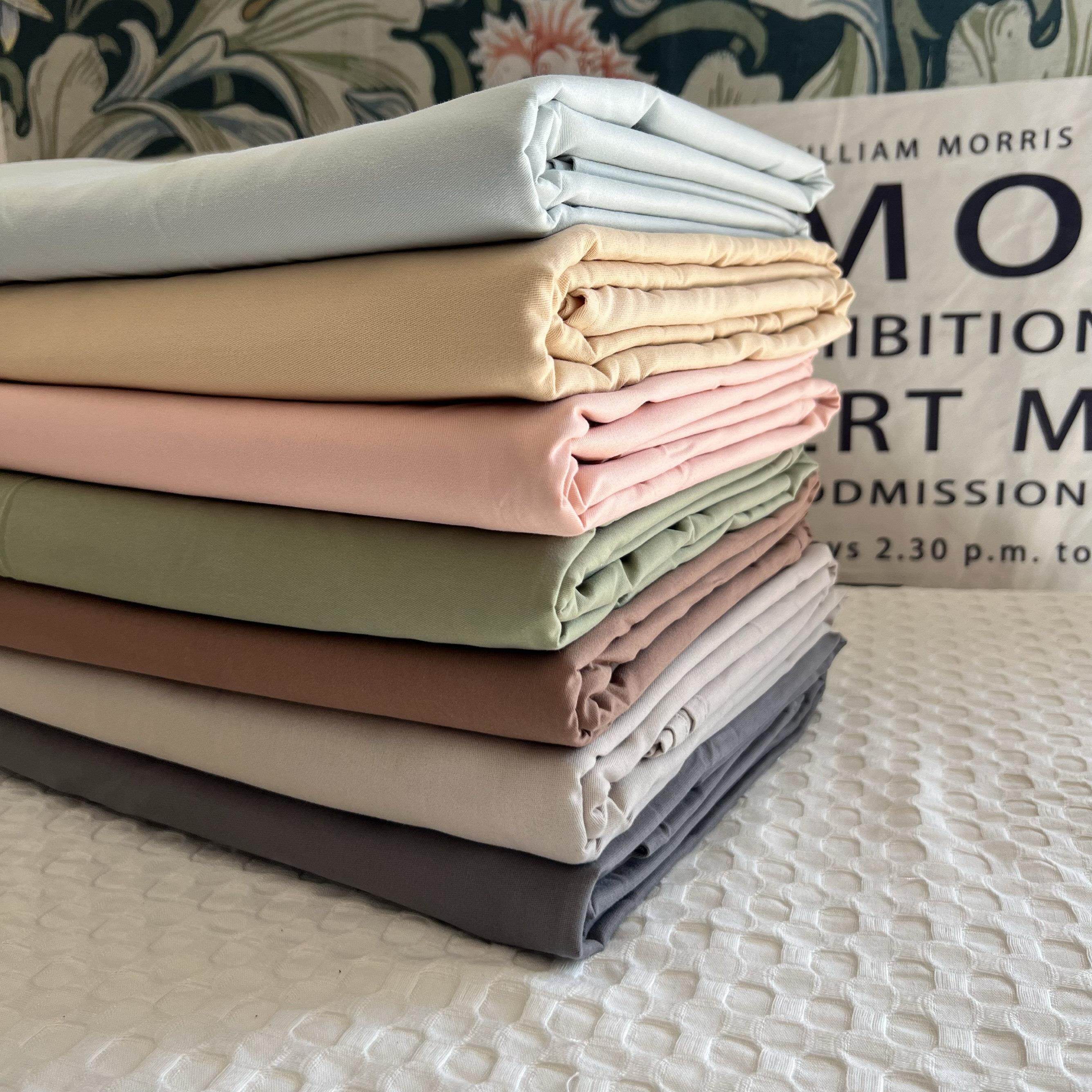 ji致性价比！外贸尾单全棉磨毛床单单件纯棉加厚双人秋冬睡单清仓