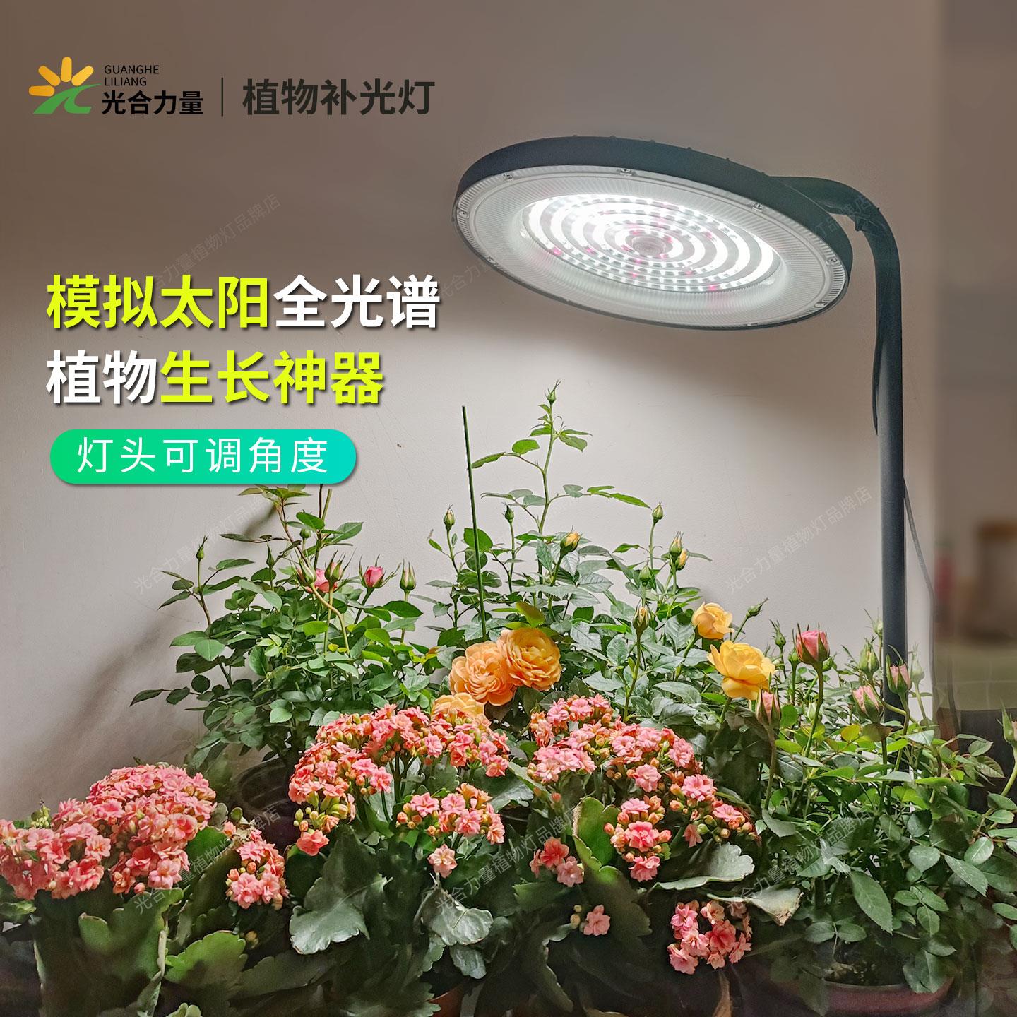 阳台仿太阳光模拟灯全光谱植物灯室内养兰花卉月季植物生长补光灯
