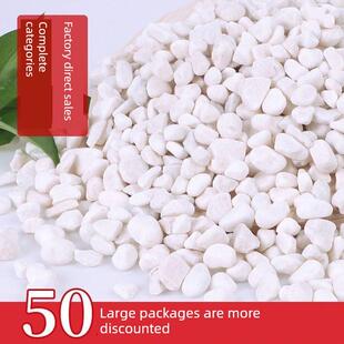 湖北白色鹅卵石铺地小石头园林花盆铺面石庭院白石头造景白石子