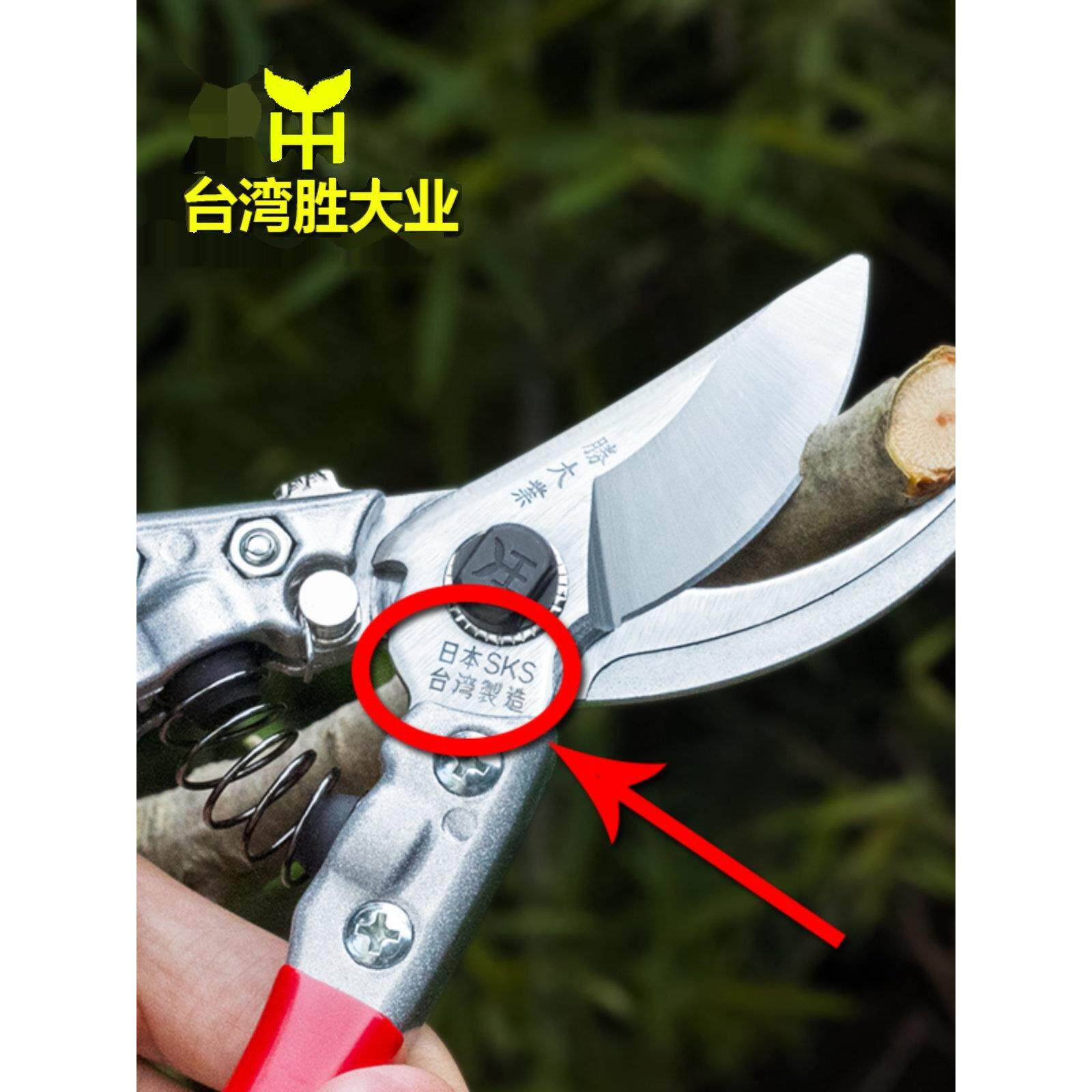 台湾进口剪枝剪刀园艺花剪刀厚枝果树剪枝省力剪刀园艺剪枝剪枝剪