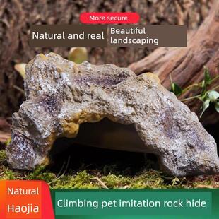 寄居蟹庇护所房子乌龟攀爬宠物庇护所人造岩石景观壁虎蜥蜴宠物蛇
