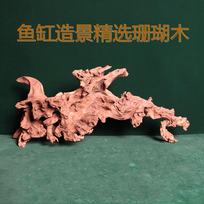 鱼缸造景摆件枯木树形珊瑚木雨林缸南美沉木大P小号非紫柚木杜鹃