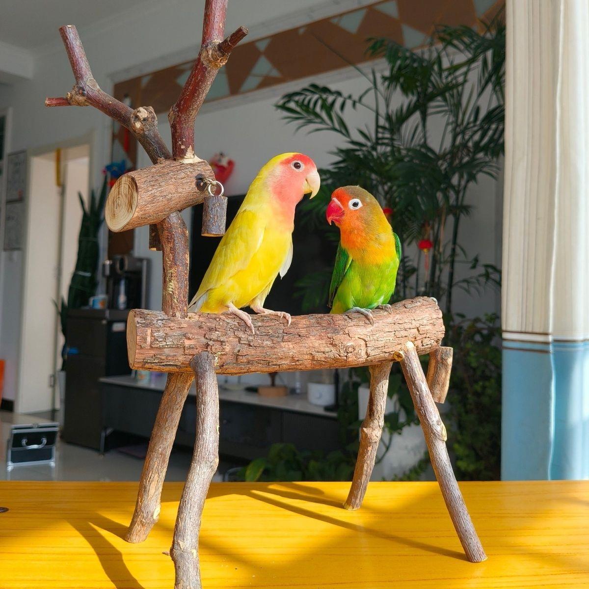 鹦鹉桌面创意站架花椒木站杠牡丹站台训练栖息木原木树枝玄凤架子