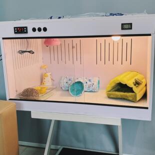 PVC恒温箱刺猬异宠爬宠饲养箱保温狮蜥蜴陆龟蛇爬行动物温控箱子