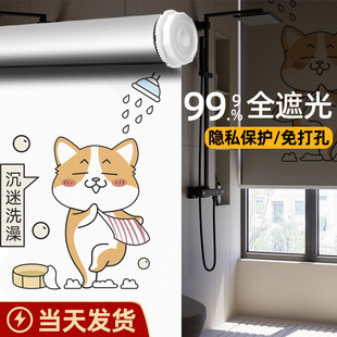 免打孔升降卷拉式 窗帘遮光2024新款 卫生间厨房厕所百叶窗遮阳卷帘