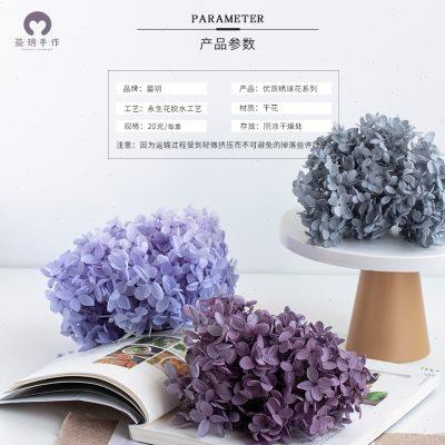 蔓玥永生花优质绣球花diy钥匙扣玻璃罩A级绣球花干花木绣球20克