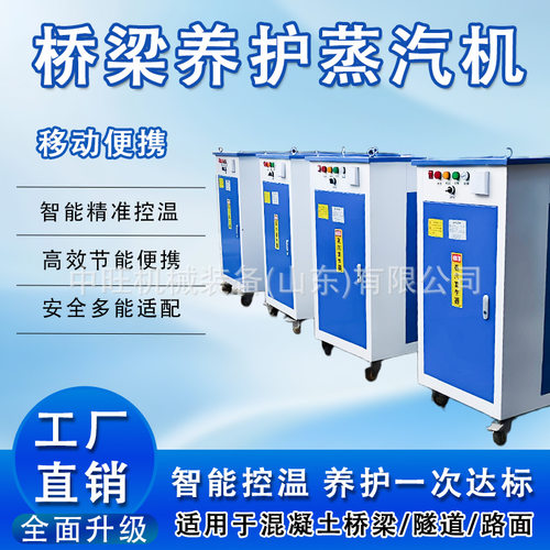 蒸汽发生器高铁桥梁养护电加热蒸汽发生器48KW桥梁养护器