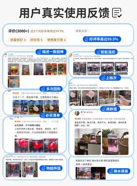 方寸秘境斗鱼专用缸新款桌面小型加热鱼缸客厅办公室家用生态造景