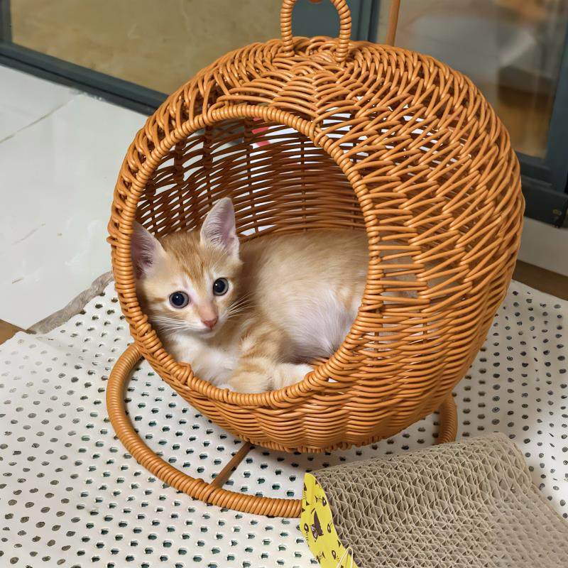 猫窝四季通用彷藤编织摇篮透气手工藤编小猫挂式吊篮吊床宠物用品,宠物/宠物食品及用品,猫窝/屋/帐篷/沙发,淘宝优惠券,粉丝福利购,淘宝优惠卷