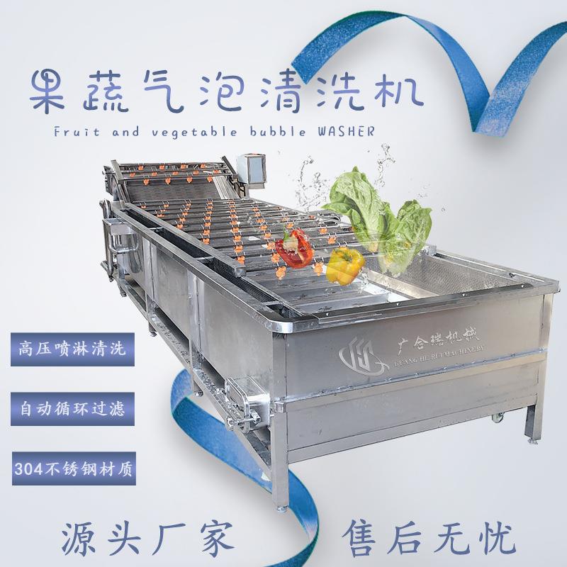 全自动果蔬气泡清洗机商用多功能洗菜机蔬菜水果清洗风干线外贸