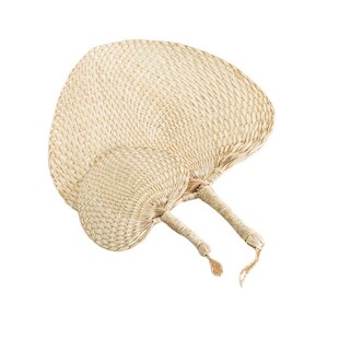 扇子大蒲扇芭蕉扇济公扇葵扇老人老式 蒲扇绘画扇棕叶烧烤扇厂