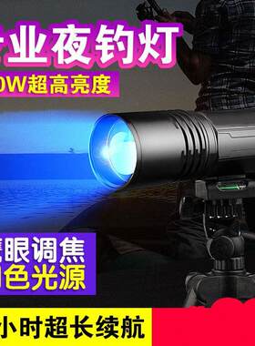 超亮鱼蓝光手紫夜灯灯200W钓光充电筒强光台钓电夜光钓鱼功率