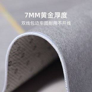 轻奢高级家用卧室沙发茶几毯地垫防污免洗可擦 地毯客厅2024新款