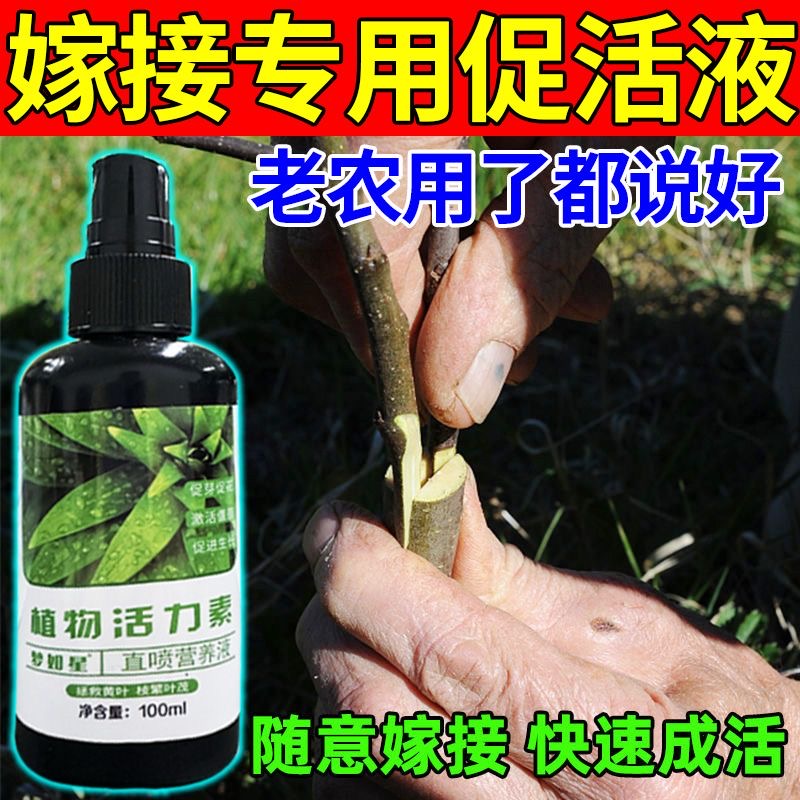 果树嫁接愈合剂促活液树木伤口移植修复嫁接伤口盆栽花卉切口愈合