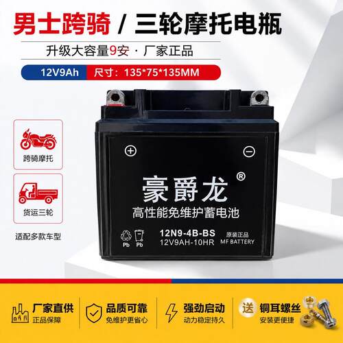 机车电瓶 免维护干蓄电池12V412V512V712V9三轮车125弯梁干电池