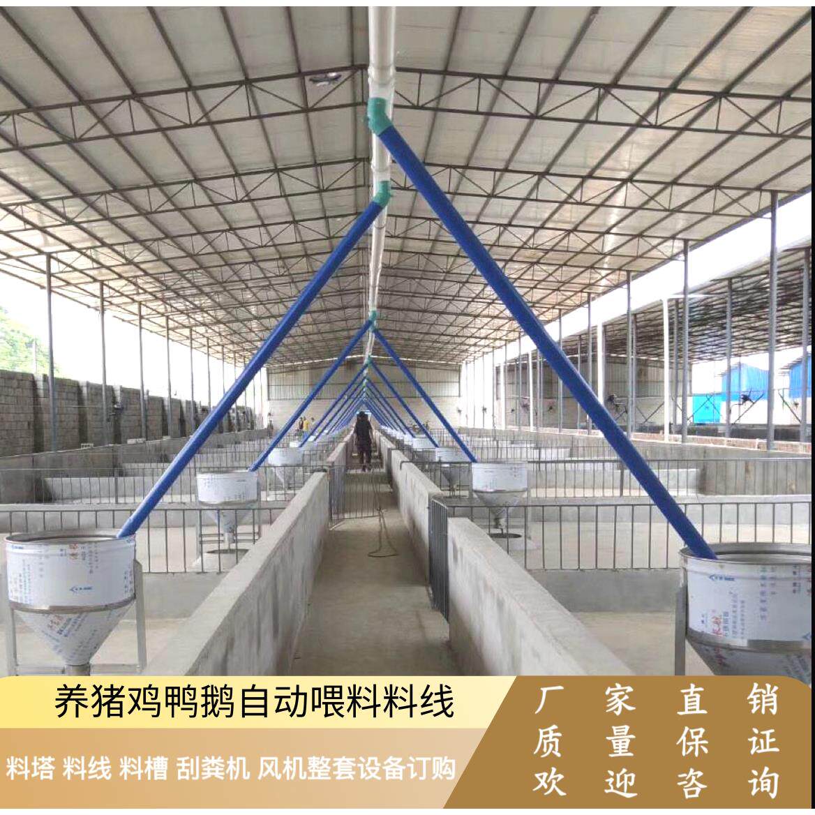 养殖料线配件全套猪料线料塔鸡鸭鹅喂料设备养殖绞龙料线自动送料