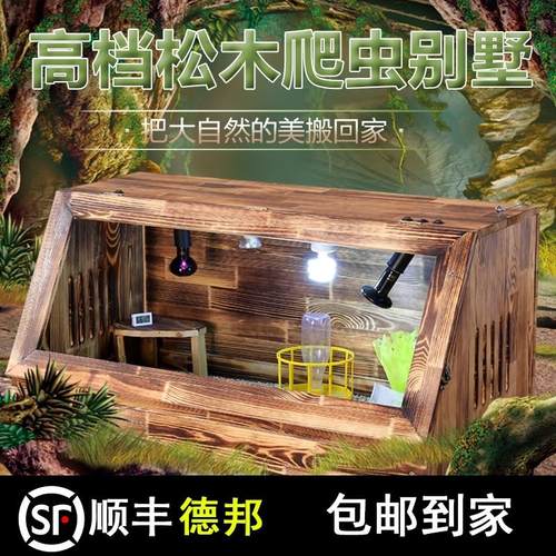 陆龟饲养箱恒温陆龟箱保箱爬宠保温箱爬宠箱蜥蜴刺蝟蛇繁殖饲养箱