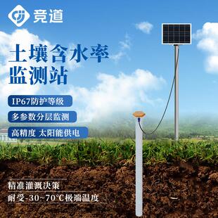 土壤含水率监测站泥水位gnss位移水分湿度检测仪地质灾害预警系统