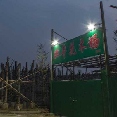 花牌太阳能投光灯（高端款） 户外防水太阳能庭院灯 外贸太阳能灯