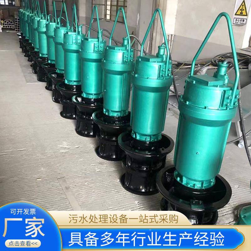 灌轴泵井筒式电动水泵抗NRY流防汛旱排涝轴流泵污水泵农田溉市政