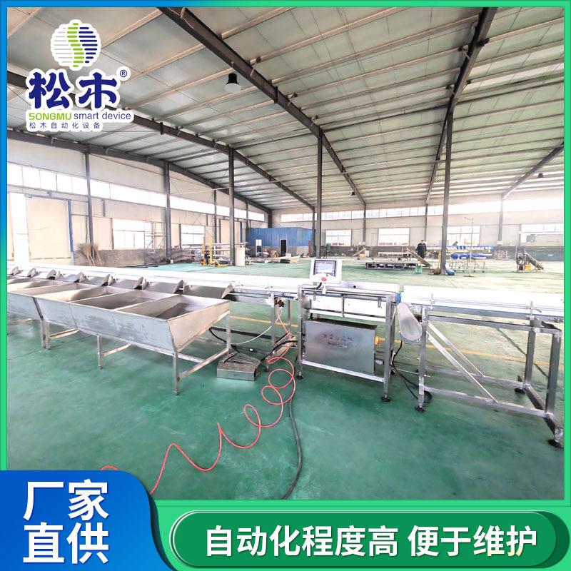 鸡鸭鹅在线动态称重机果蔬称重分级机全自动分选机自动重量分拣机