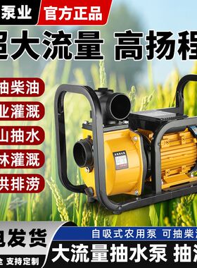 立一大流量污水自吸泵家用220V抽水泵农用灌溉泵380V高扬程离心泵