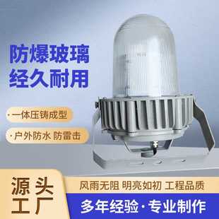 LED防眩泛光灯30W 电厂发电站三防LED平台灯厂房照明 50W 80W