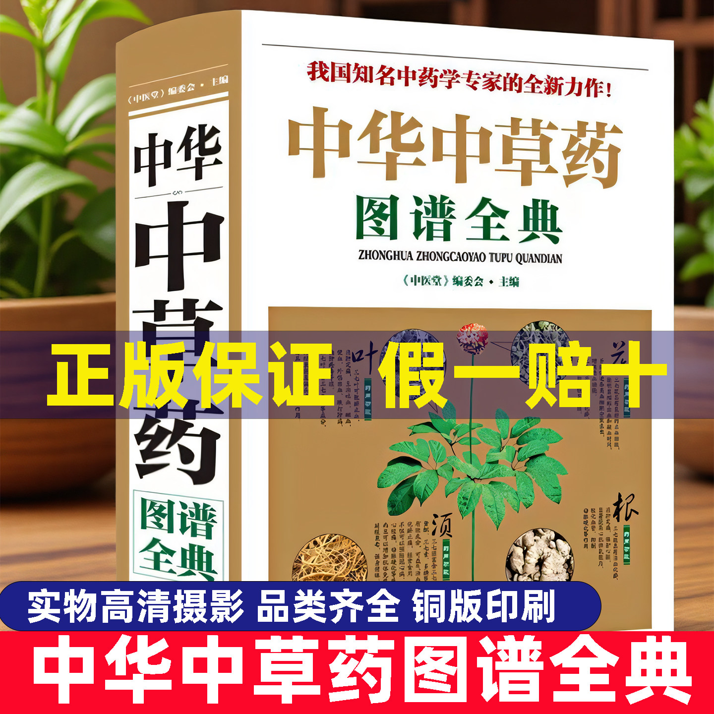 官方正版】正版中草药彩图大全中华中草药图谱全典图鉴中药中草药彩图大全书图解中药材百科全书草药彩图大全书中草药材大全书