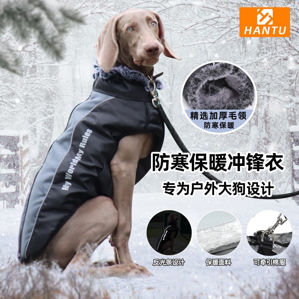 金毛杜宾中大型犬冬季冲锋衣